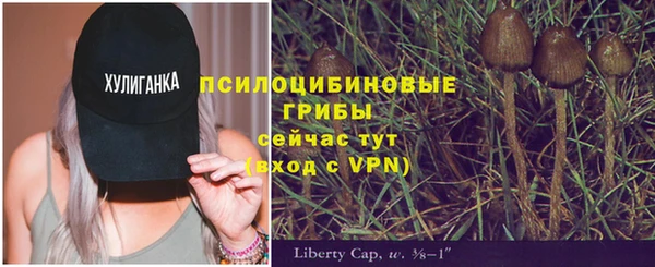 прущие крисы Балахна