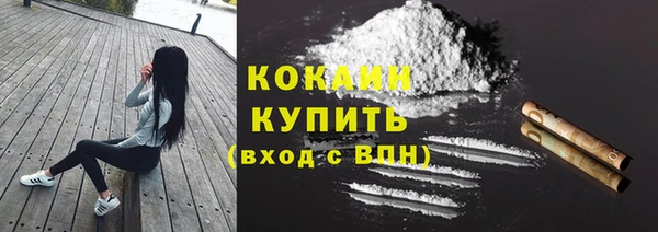 стаф Баксан